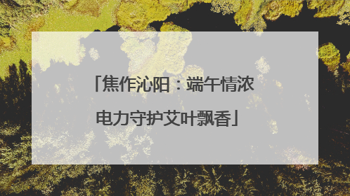 焦作沁阳：端午情浓 电力守护艾叶飘香