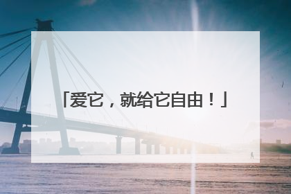 爱它，就给它自由！