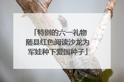 特别的六一礼物 随县红色阅读沙龙为军娃种下爱国种子
