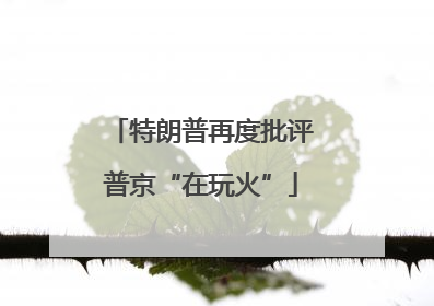 特朗普再度批评普京“在玩火”