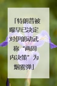 特朗普被曝早已决定对伊朗动武 称“两周内决策”为烟雾弹