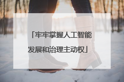 牢牢掌握人工智能发展和治理主动权