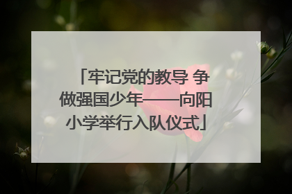 牢记党的教导 争做强国少年——向阳小学举行入队仪式