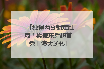 独得两分锁定胜局！樊振东乒超首秀上演大逆转