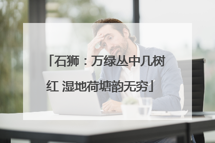 石狮：万绿丛中几树红 湿地荷塘韵无穷