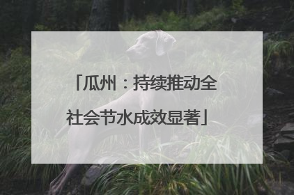 瓜州：持续推动全社会节水成效显著