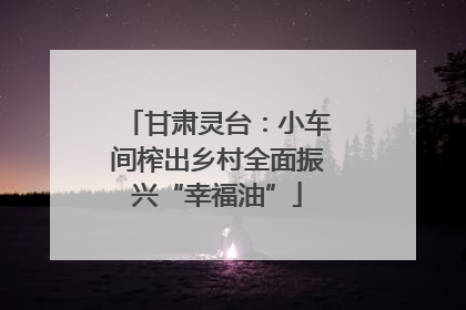 甘肃灵台：小车间榨出乡村全面振兴“幸福油”