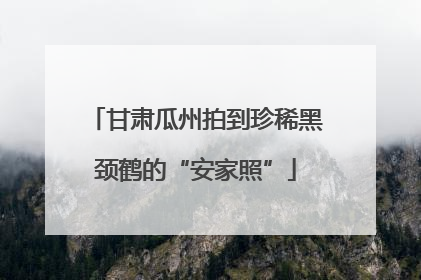 甘肃瓜州拍到珍稀黑颈鹤的“安家照”
