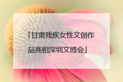 甘肃残疾女性文创作品亮相深圳文博会