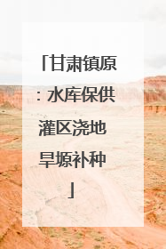 甘肃镇原：水库保供 灌区浇地 旱塬补种