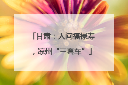 甘肃：人间福禄寿，凉州“三套车”