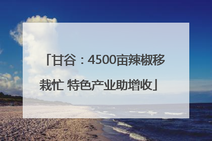 甘谷：4500亩辣椒移栽忙 特色产业助增收