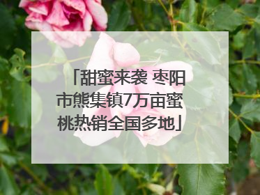 甜蜜来袭 枣阳市熊集镇7万亩蜜桃热销全国多地