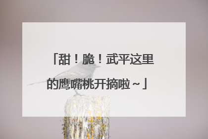 甜！脆！武平这里的鹰嘴桃开摘啦～