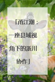 甬江潮：一座县域视角下的浙川协作