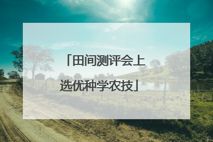 田间测评会上选优种学农技