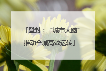 登封：“城市大脑”推动全城高效运转