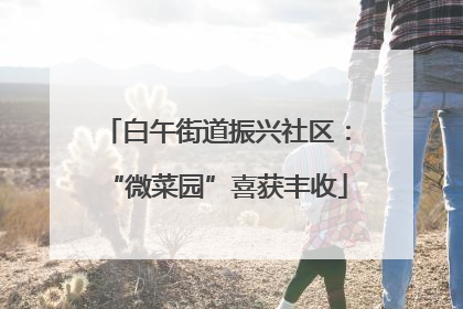 白午街道振兴社区：“微菜园”喜获丰收