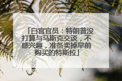 白宫官员：特朗普没打算与马斯克交谈，不感兴趣，准备卖掉早前购买的特斯拉