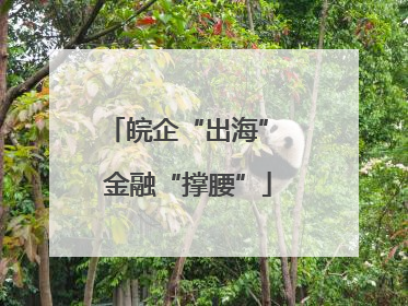 皖企“出海” 金融“撑腰”