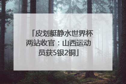 皮划艇静水世界杯两站收官：山西运动员获5银2铜