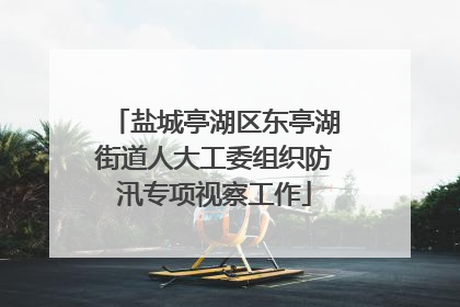 盐城亭湖区东亭湖街道人大工委组织防汛专项视察工作