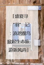 盛夏寻 “羽” 记：滇池观鸟掀起生态旅游新风尚