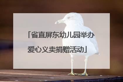 省直屏东幼儿园举办爱心义卖捐赠活动
