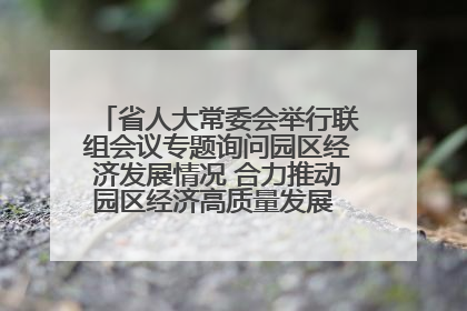 省人大常委会举行联组会议专题询问园区经济发展情况 合力推动园区经济高质量发展 王宁主持会议并讲话 王予波带队到会应询