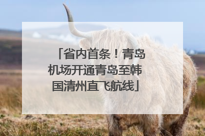 省内首条！青岛机场开通青岛至韩国清州直飞航线