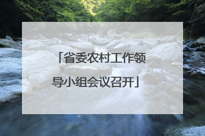 省委农村工作领导小组会议召开