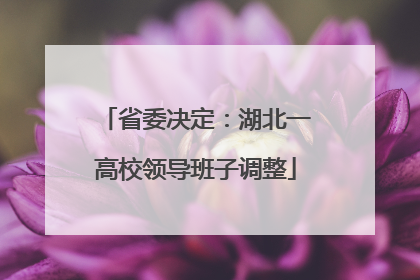 省委决定：湖北一高校领导班子调整