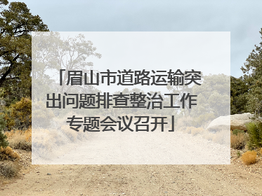 眉山市道路运输突出问题排查整治工作专题会议召开