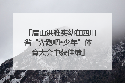 眉山洪雅实幼在四川省“奔跑吧•少年”体育大会中获佳绩