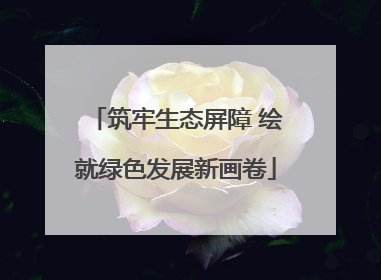 筑牢生态屏障 绘就绿色发展新画卷