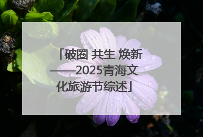 破圈 共生 焕新——2025青海文化旅游节综述