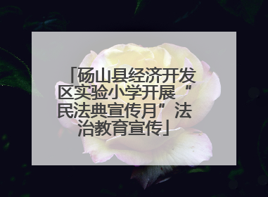 砀山县经济开发区实验小学开展“民法典宣传月”法治教育宣传