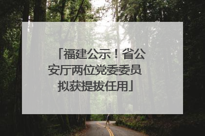 福建公示！省公安厅两位党委委员拟获提拔任用