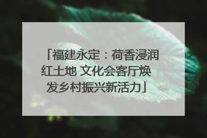 福建永定：荷香浸润红土地 文化会客厅焕发乡村振兴新活力