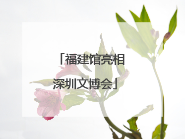 福建馆亮相深圳文博会