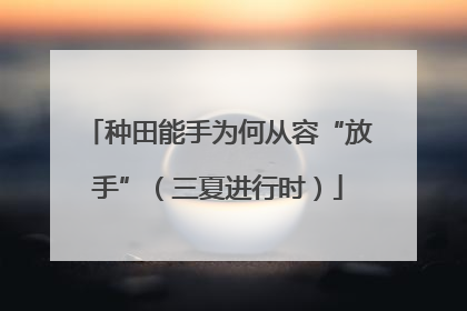 种田能手为何从容“放手”（三夏进行时）