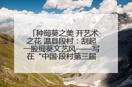 种蜀葵之美 开艺术之花 温县段村：刮起一股蜀葵文艺风——写在“中国·段村第三届蜀葵画展”开展之际