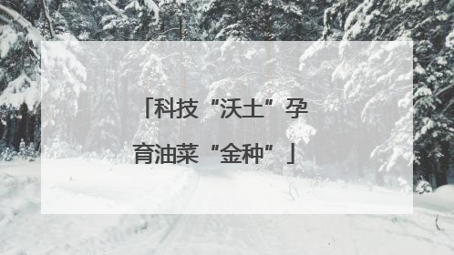 科技“沃土”孕育油菜“金种”