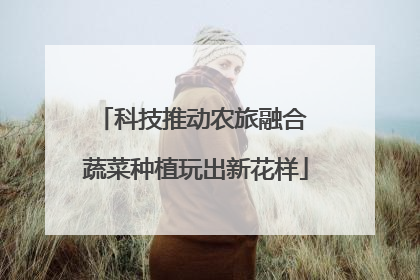 科技推动农旅融合 蔬菜种植玩出新花样