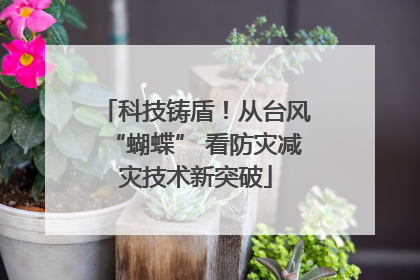 科技铸盾！从台风“蝴蝶” 看防灾减灾技术新突破