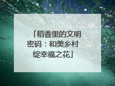 稻香里的文明密码：和美乡村绽幸福之花