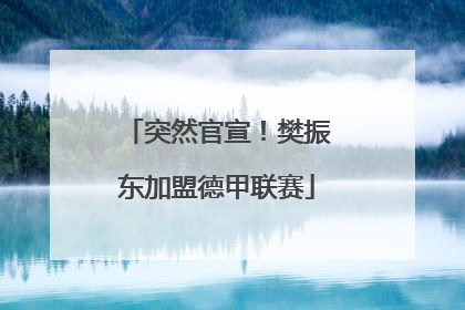 突然官宣！樊振东加盟德甲联赛