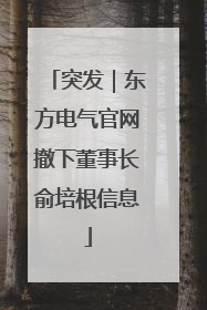 突发｜东方电气官网撤下董事长俞培根信息
