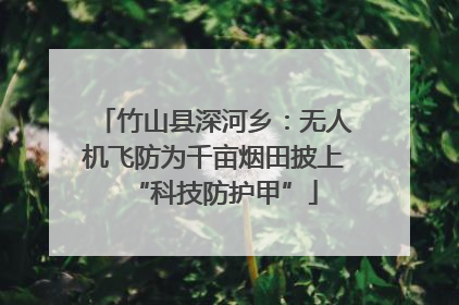 竹山县深河乡：无人机飞防为千亩烟田披上“科技防护甲”