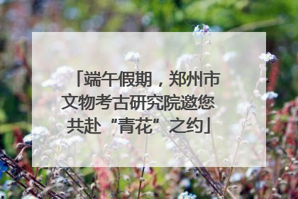 端午假期，郑州市文物考古研究院邀您共赴“青花”之约